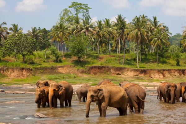 Sri Lanka