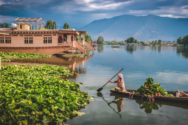 Kashmir Spring